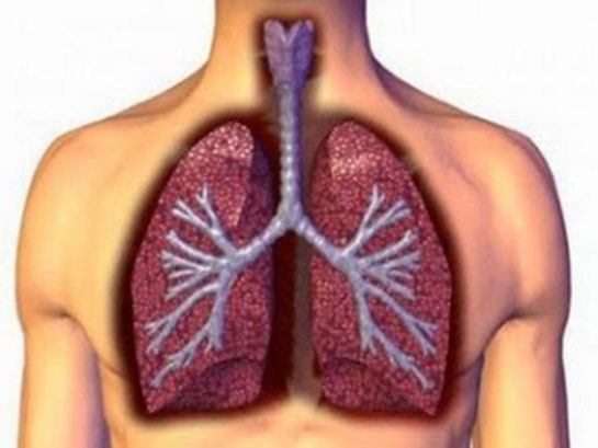 Akciğer Kapasitesi